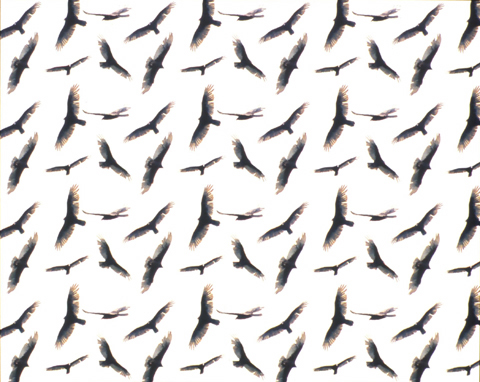 David Blow, Lightness of Being